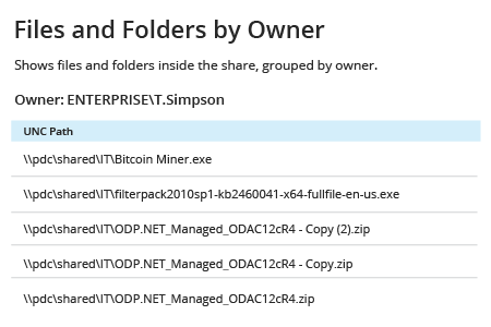 Files and Folders by Owner Netwrix Auditor report: shows files and folders inside the share, grouped by owner