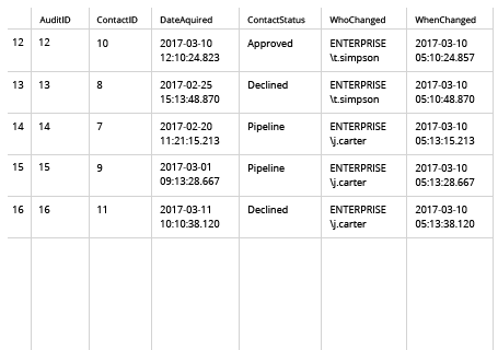 Sample Report - SQL Server Audit Trigger